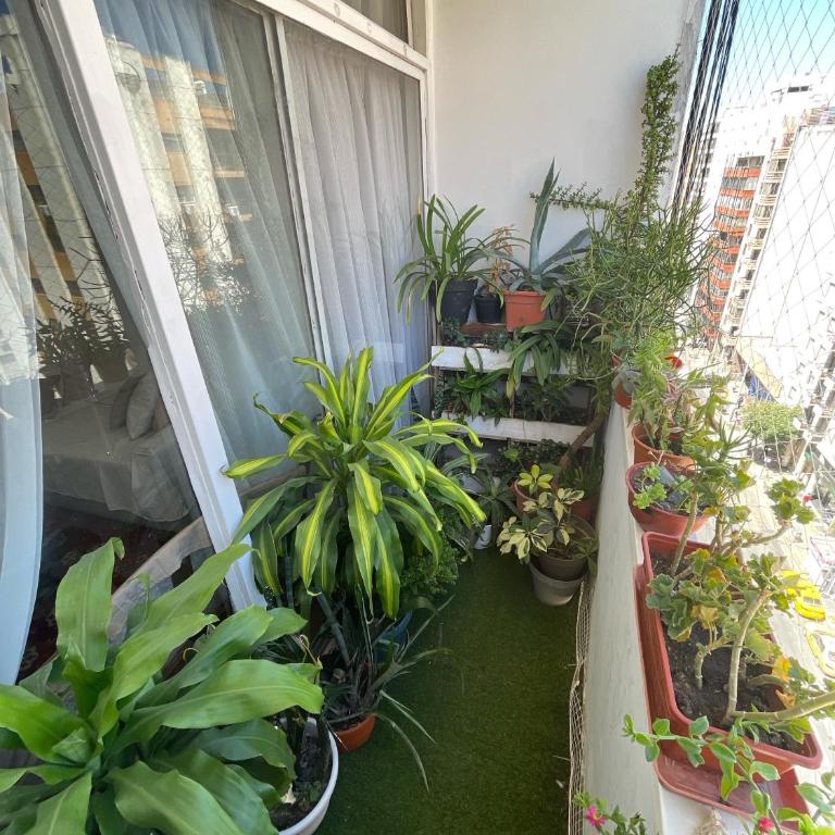 luminoso depto de 3 dormitorios y amplio living comedor, en la mejor ubicación - Apartamento de 3 dormitorios - 13