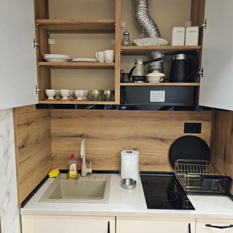 Ebra 75 Kraljevi Cardaci Kopaonik - Apartman sa 1 Spavaćom Sobom - 5