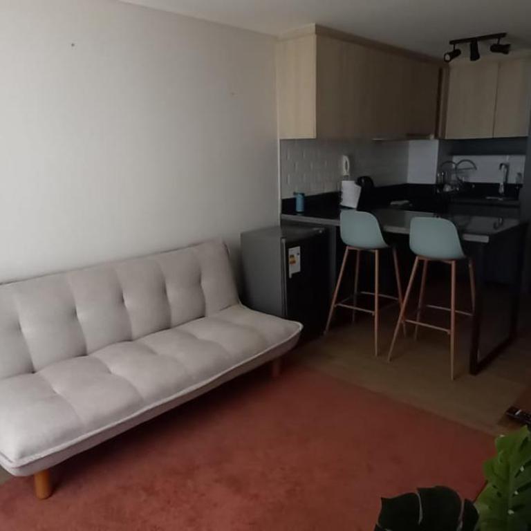 Lindo Depto con check out gratis! - Apartamento de 2 dormitorios - 20