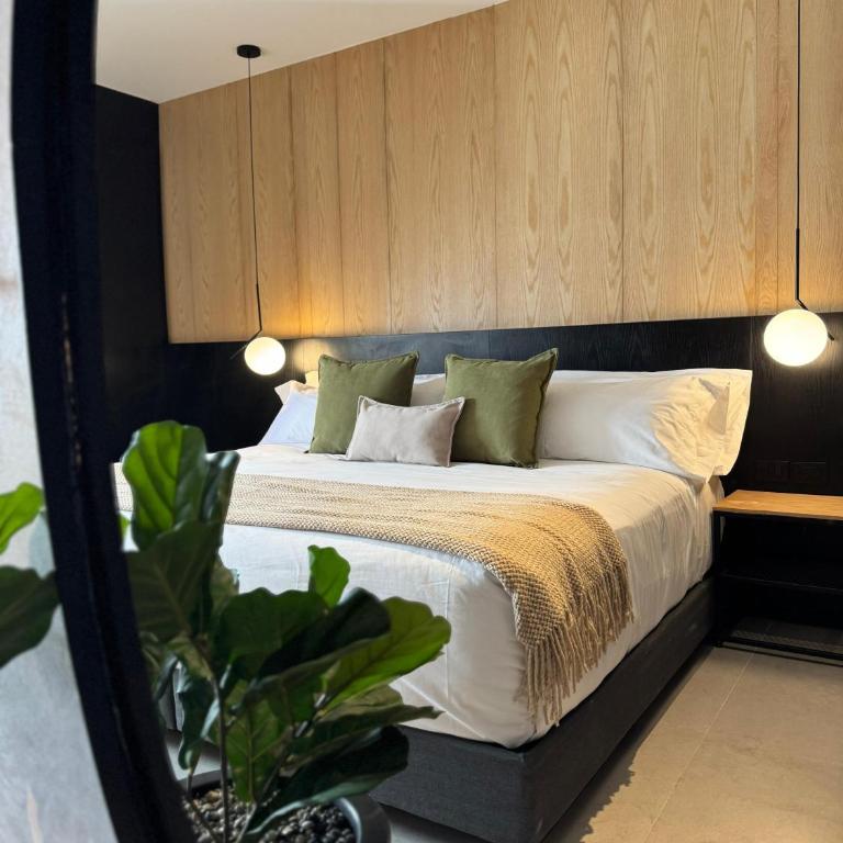 Hotel Aló Degollado - Standard Suite - 1