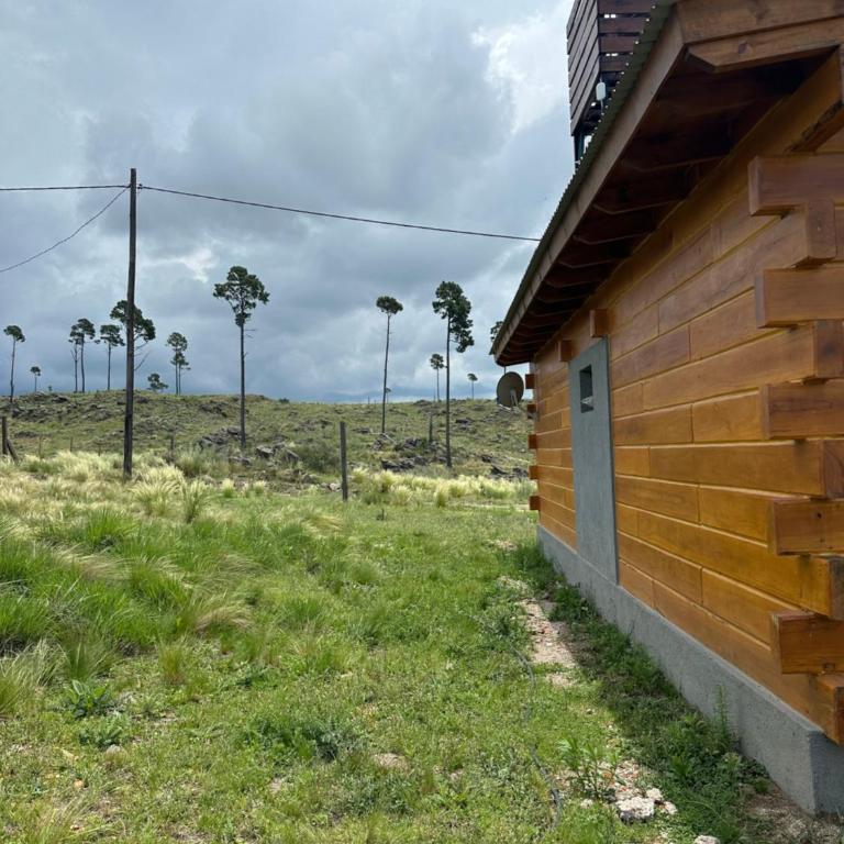 LaJu - Chalet de 2 dormitorios - 19