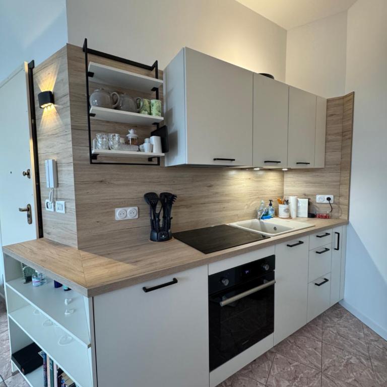 Appartement Charmant lumineux vue mer et jardin exceptionnel 3 étoiles - One-Bedroom Apartment - 8
