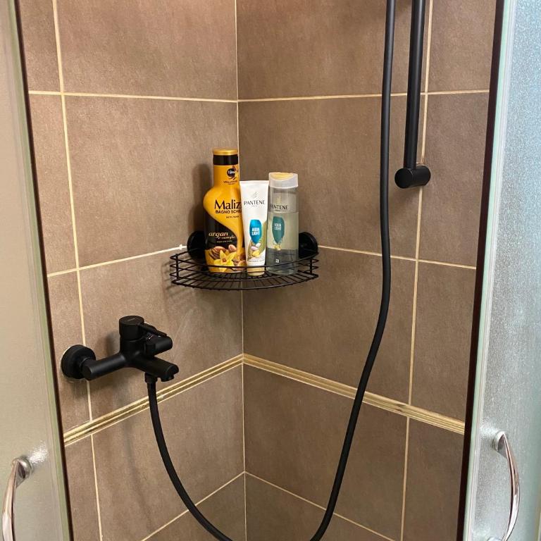Adzic Apartments - Studio with Balcony (2 Adults) - 45