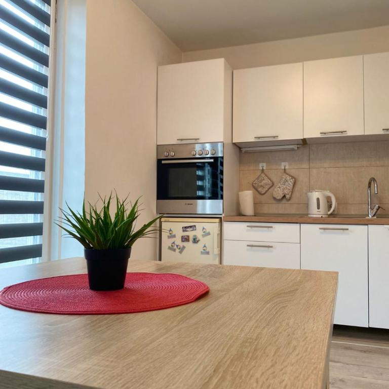 Apartman Vills - Apartman sa Balkonom - 6