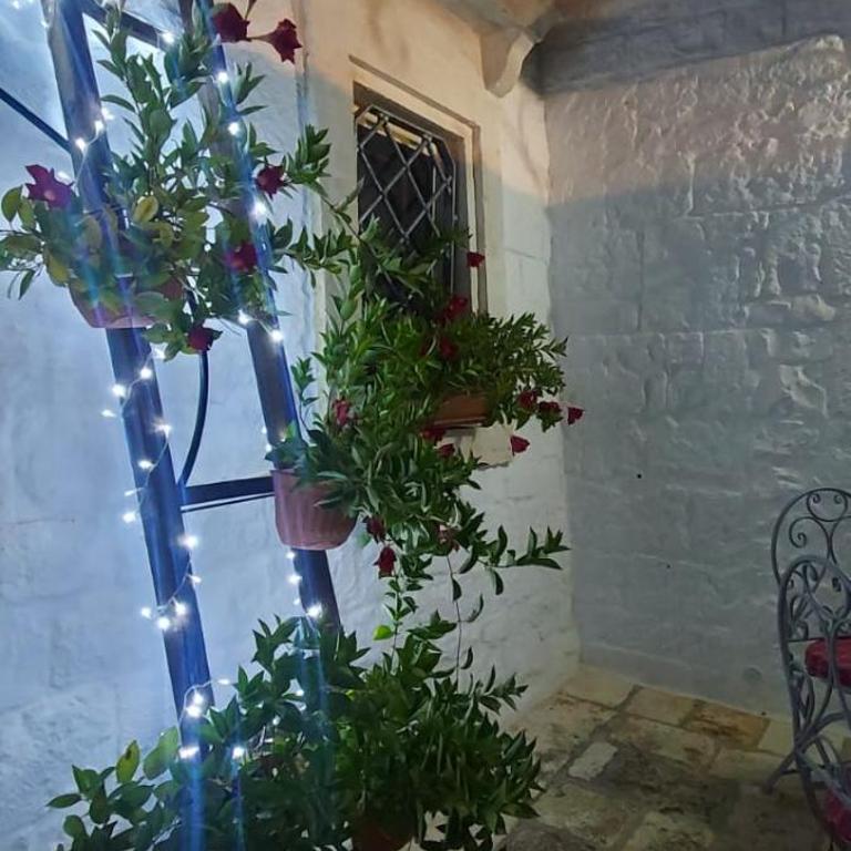 Casa Nonna Renzina - Casa con 1 Camera da Letto - 2