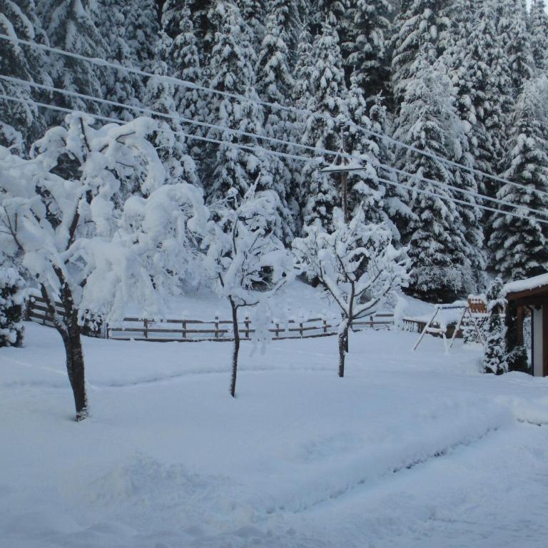 Ferienhaus Schwarzenbacher - Vacation Home - 7