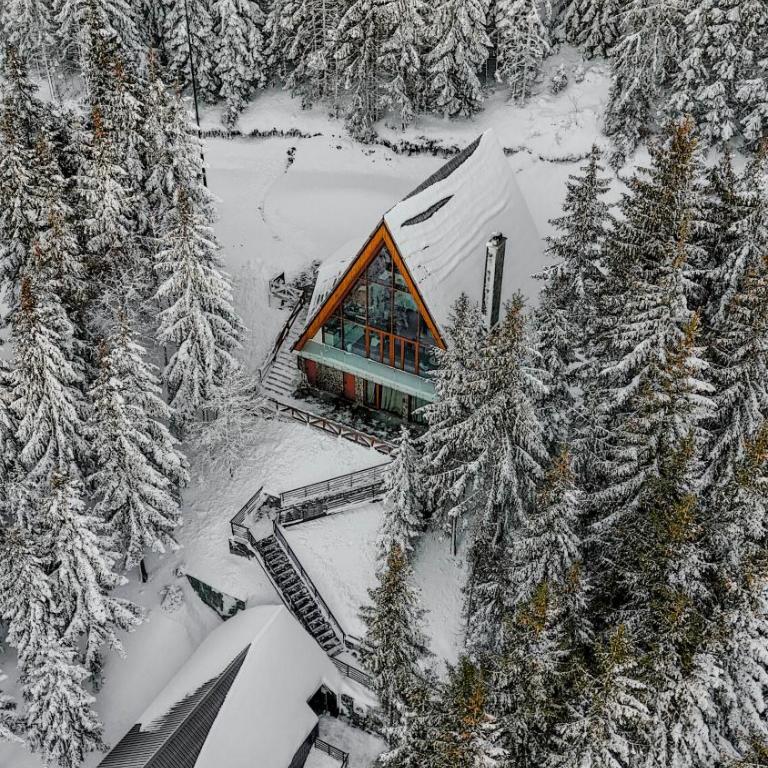 Sofia - Mountain Home - Superior Chalet - 21