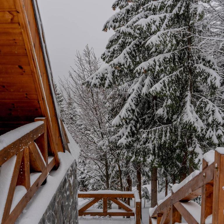 Sofia - Mountain Home - Superior Chalet - 22