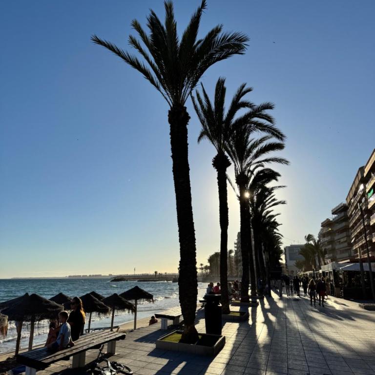 Apartamento La Ola - Apartamento de 3 dormitorios - 36