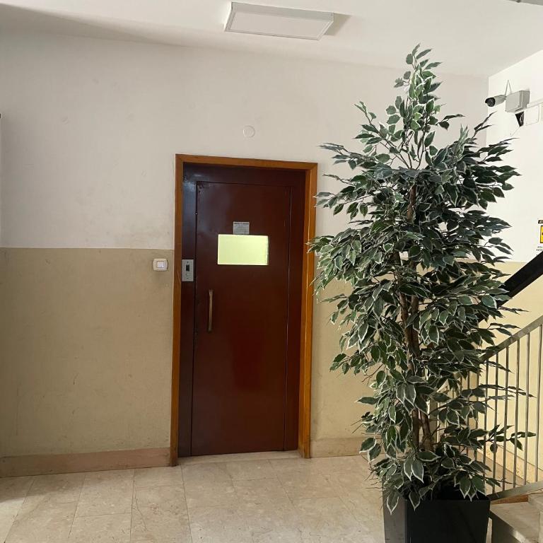 La Casetta di Piero by SMART-HOME - Two-Bedroom Apartment - 18