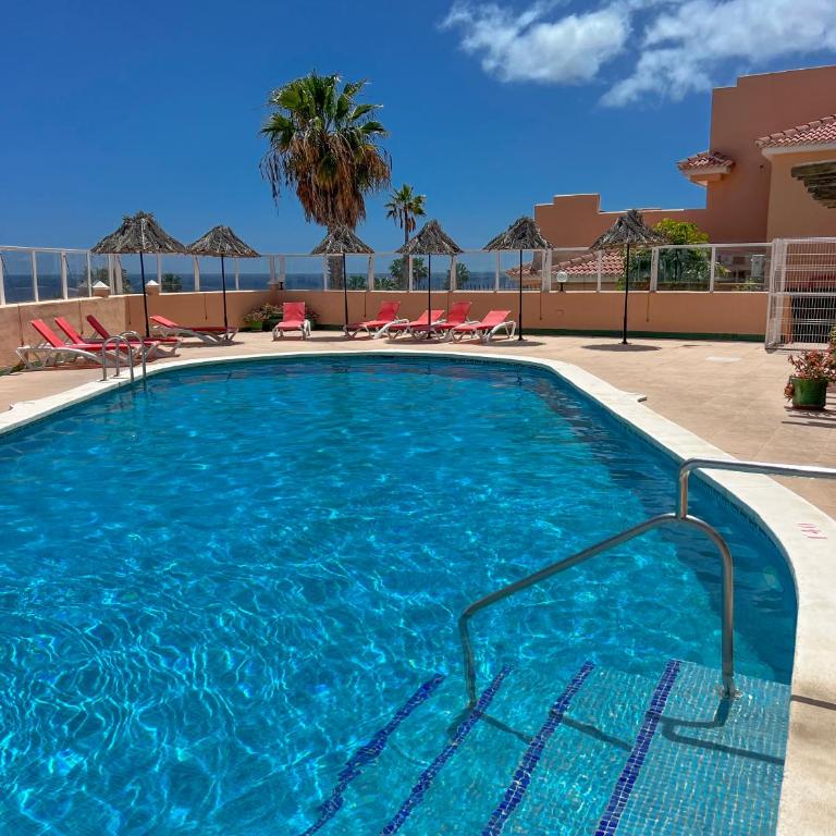 Paz Ocean View Luxury, Air condition, Wifi, Heated pool - Apartamento de 1 dormitorio - 9