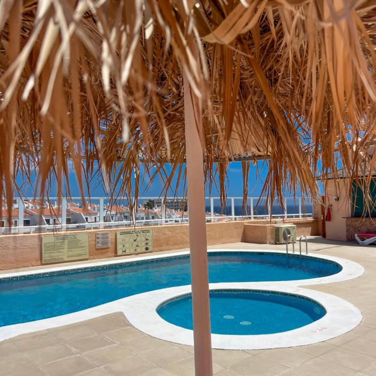 Paz Ocean View Luxury, Air condition, Wifi, Heated pool - Apartamento de 1 dormitorio - 13