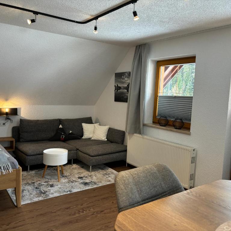 Haus Sonnleitner Studio Rittisberg - Apartment mit 1 Schlafzimmer - 2
