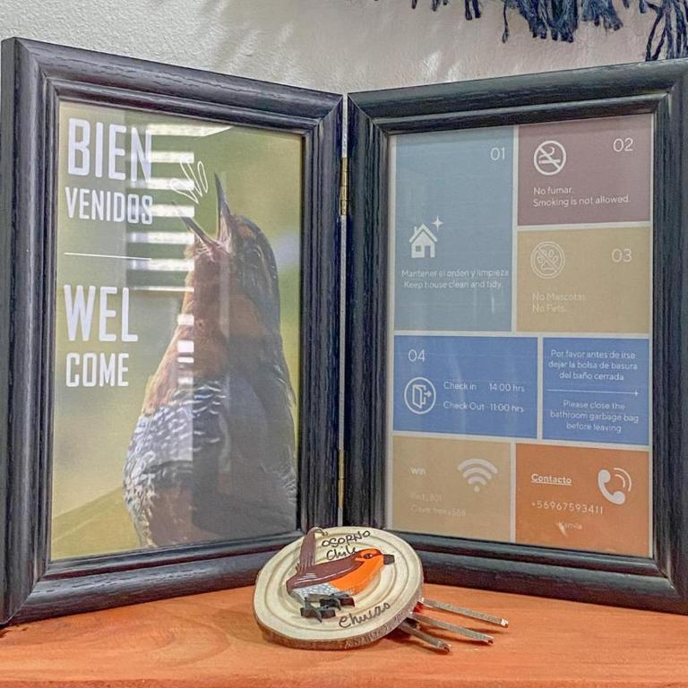 El Chucao - Apartamento de 1 dormitorio - 3