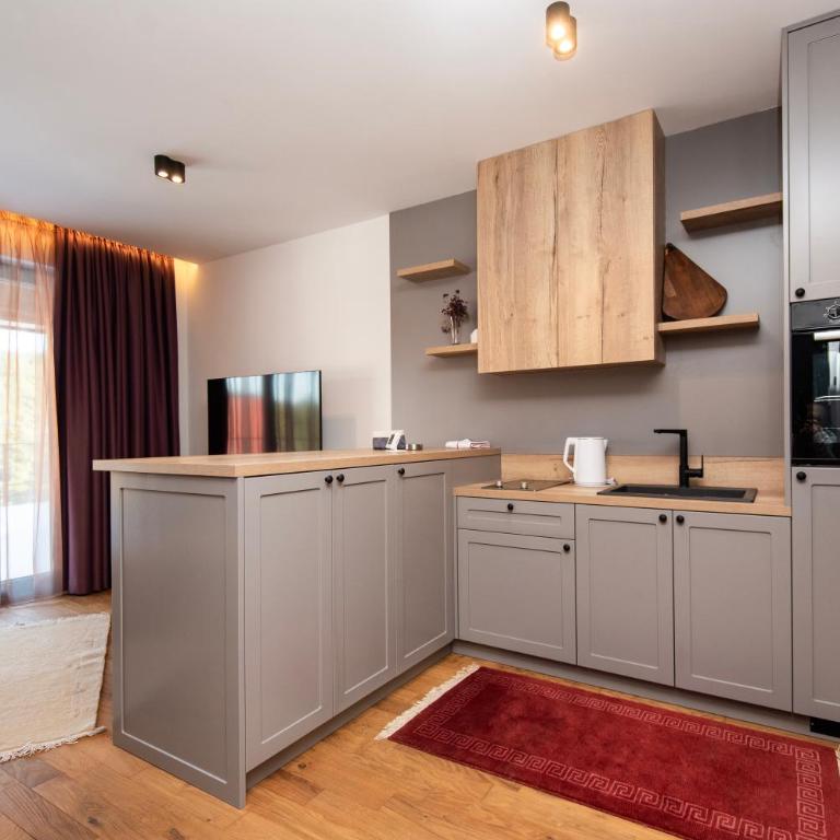 Vila Zarka - One-Bedroom Apartment - 24