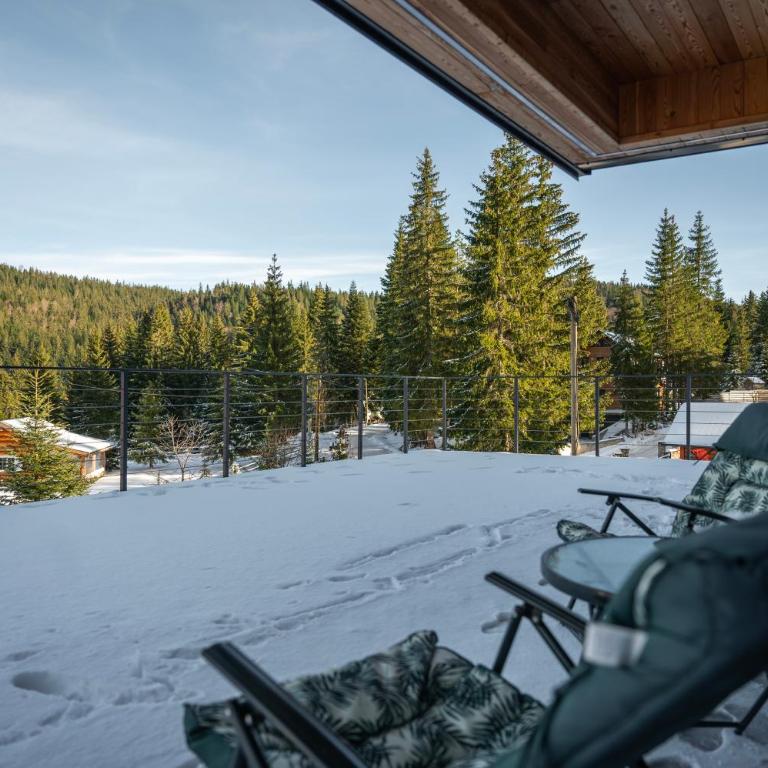 Vila Zarka - Apartman sa 1 Spavaćom Sobom - 45