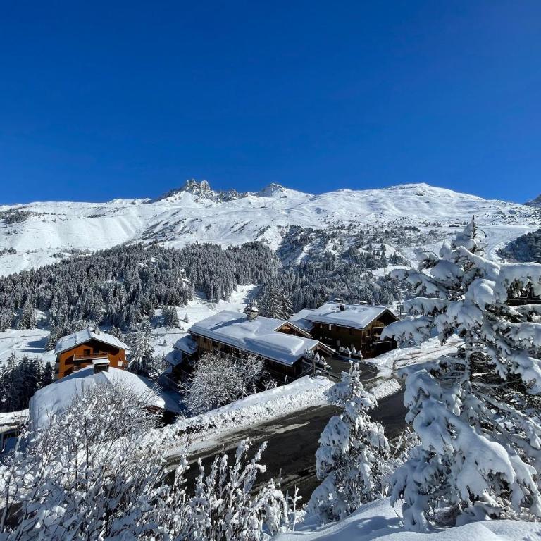 Chalet La Grande Ourse Meribel 135 m2 apartment near pistes - Appartement 3 Chambres - 23