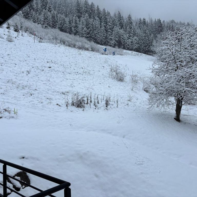 Le Savoisien, Appartement in centrum Chatel 150 m van ski-lift - Appartement 3 Chambres - 18