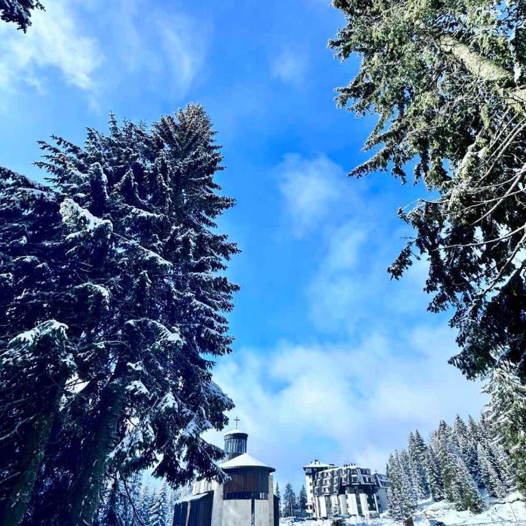 Tavita Kopaonik - Apartman sa 1 Spavaćom Sobom - 3