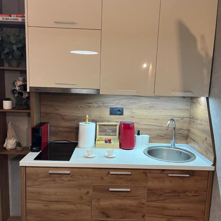 R2 KOP Konaci - Deluxe Studio - 5
