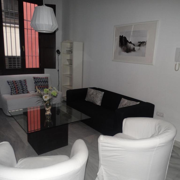 Málaga Apartamentos - Jinetes, 13 - Standard Studio - 18