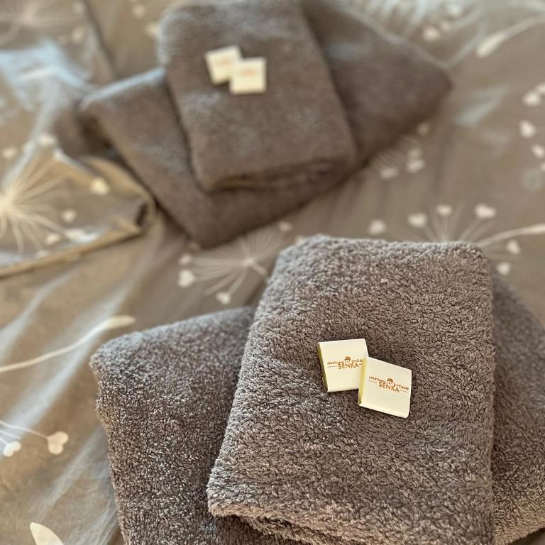 Studio Senka - Apartman sa 1 Spavaćom Sobom - 2