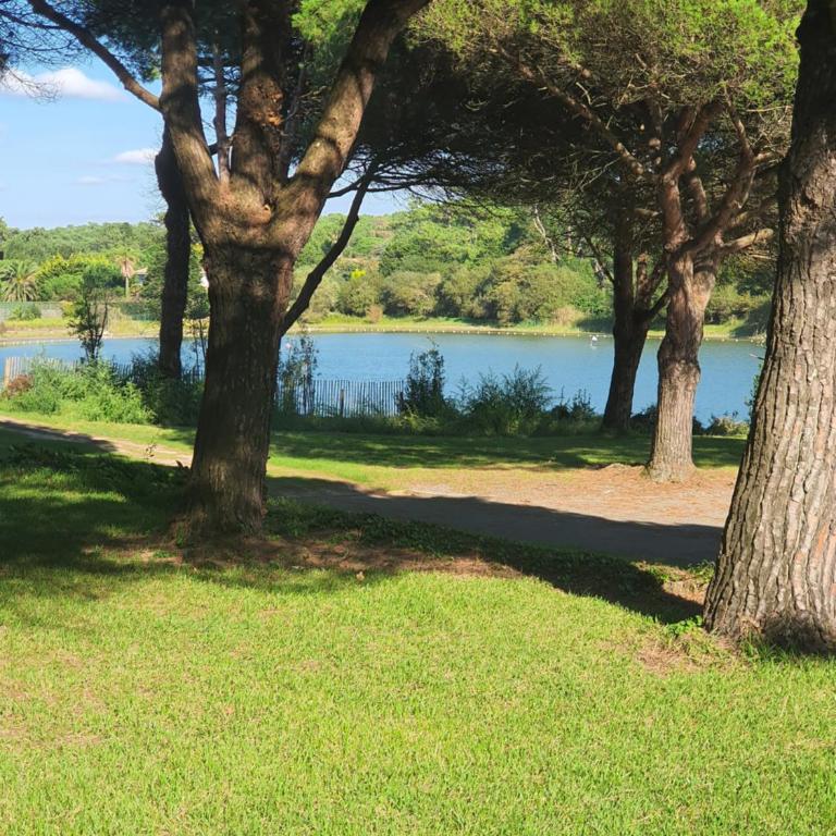 Studio Golf&Plage Chiberta - Apartment mit 1 Schlafzimmer - 4