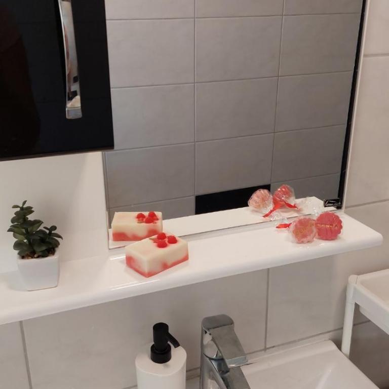 Apartman Senka - Apartman sa 1 Spavaćom Sobom - 3