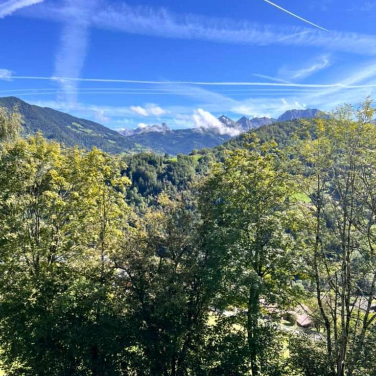 Charming family Chalet for 8 people, with private Hot Tub - Chalet - 22