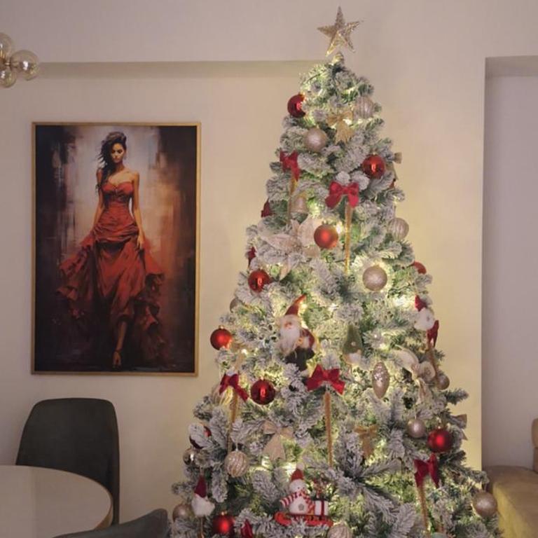 Palata Gold Apartment - Apartman sa 1 Spavaćom Sobom - 4