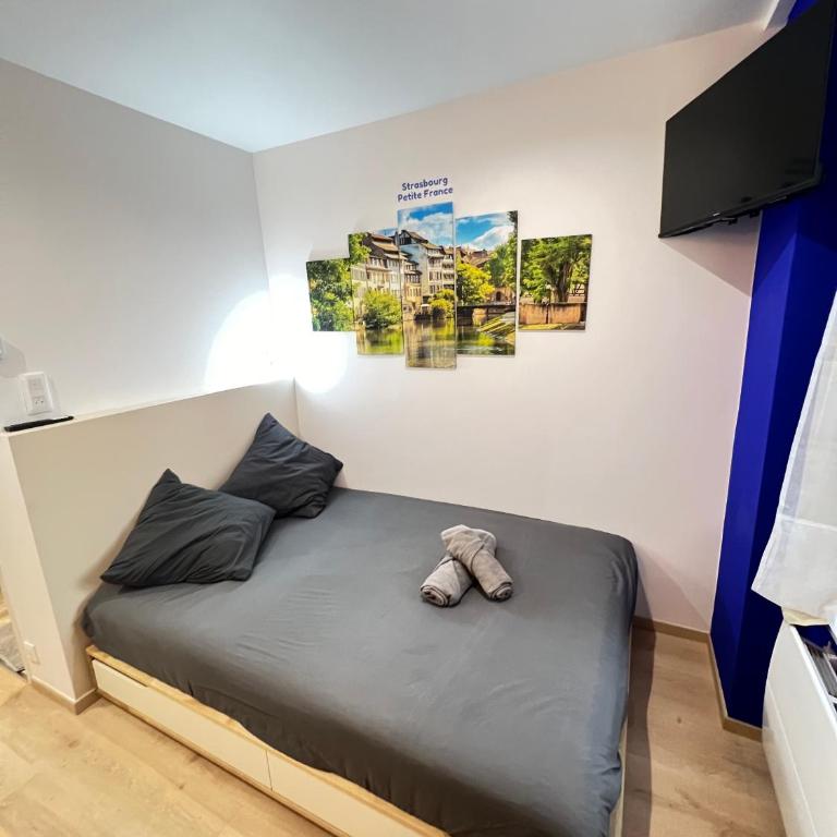 Suite 1 - Strasbourg Gare - Petite France - Commerces à Proximité - One-Bedroom Apartment - 14
