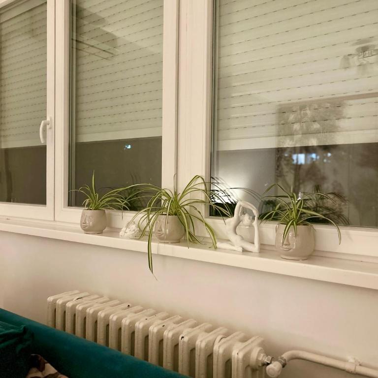 Surya - Apartman sa 1 Spavaćom Sobom - 9