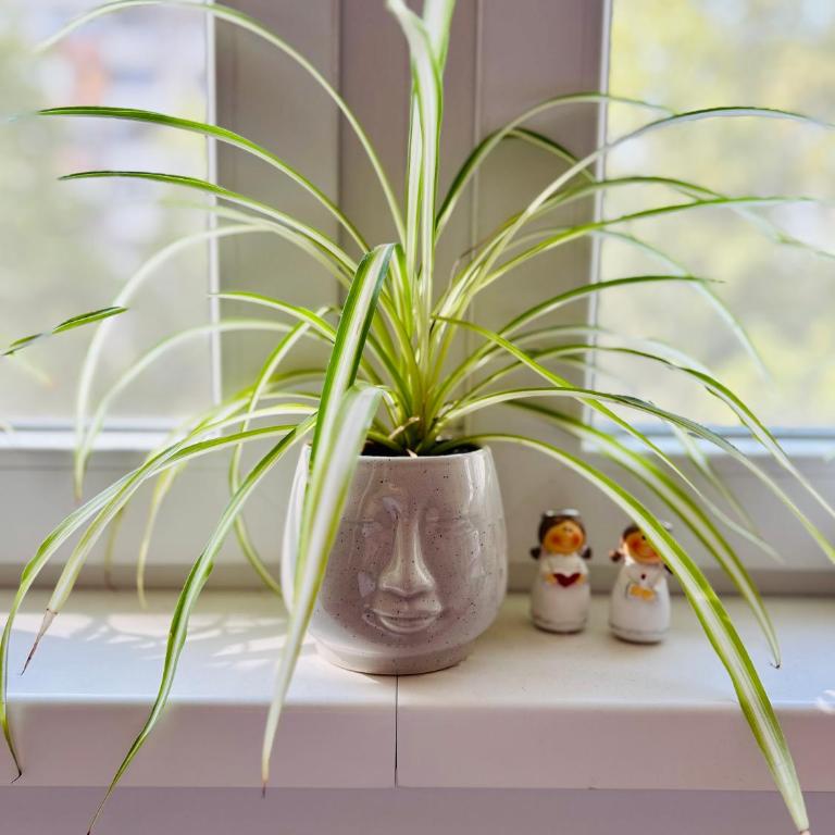 Surya - Apartman sa 1 Spavaćom Sobom - 10