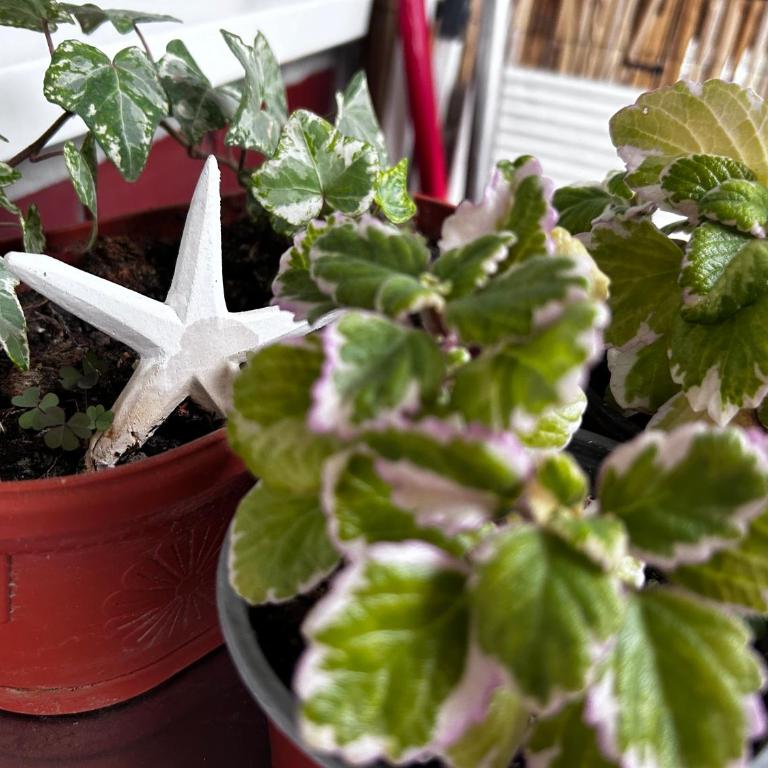 Surya - Apartman sa 1 Spavaćom Sobom - 27