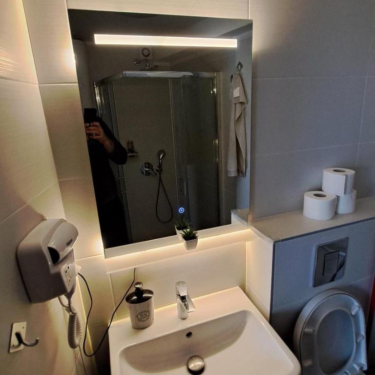 studio apartman Najdanović CENTAR - Deluxe Double Studio - 40