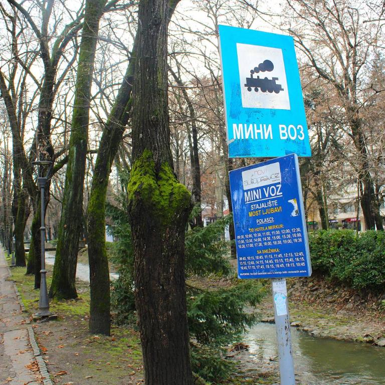 studio apartman Najdanović CENTAR - Deluxe Double Studio - 63