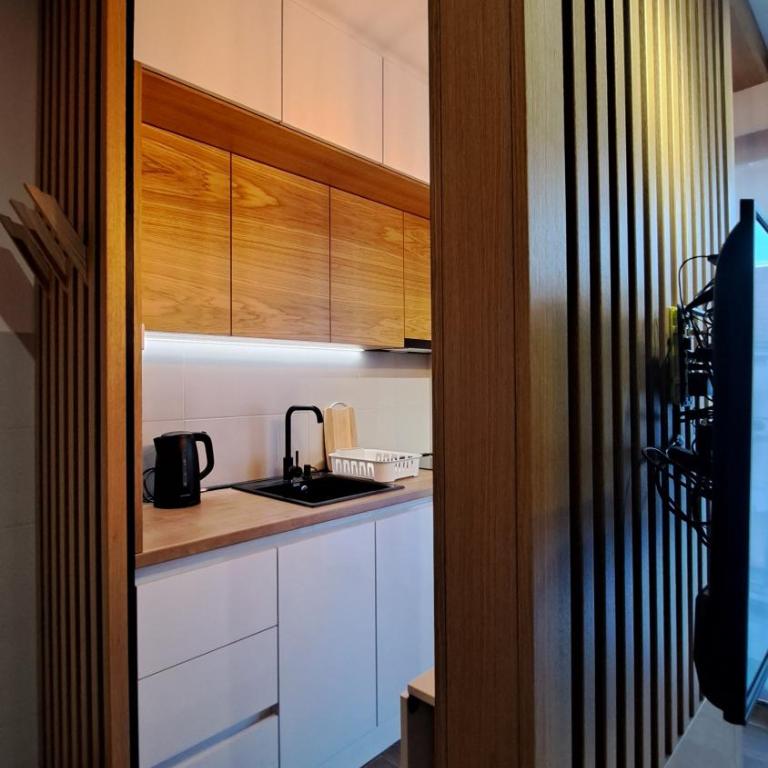 studio apartman Najdanović CENTAR - Deluxe Double Studio - 27