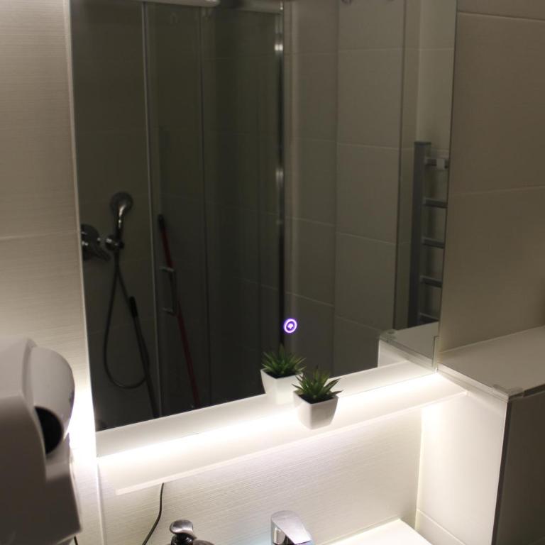 studio apartman Najdanović CENTAR - Deluxe Double Studio - 41