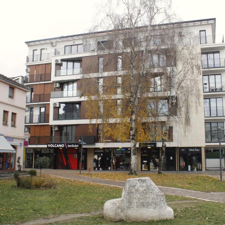 studio apartman Najdanović CENTAR - Deluxe Double Studio - 51