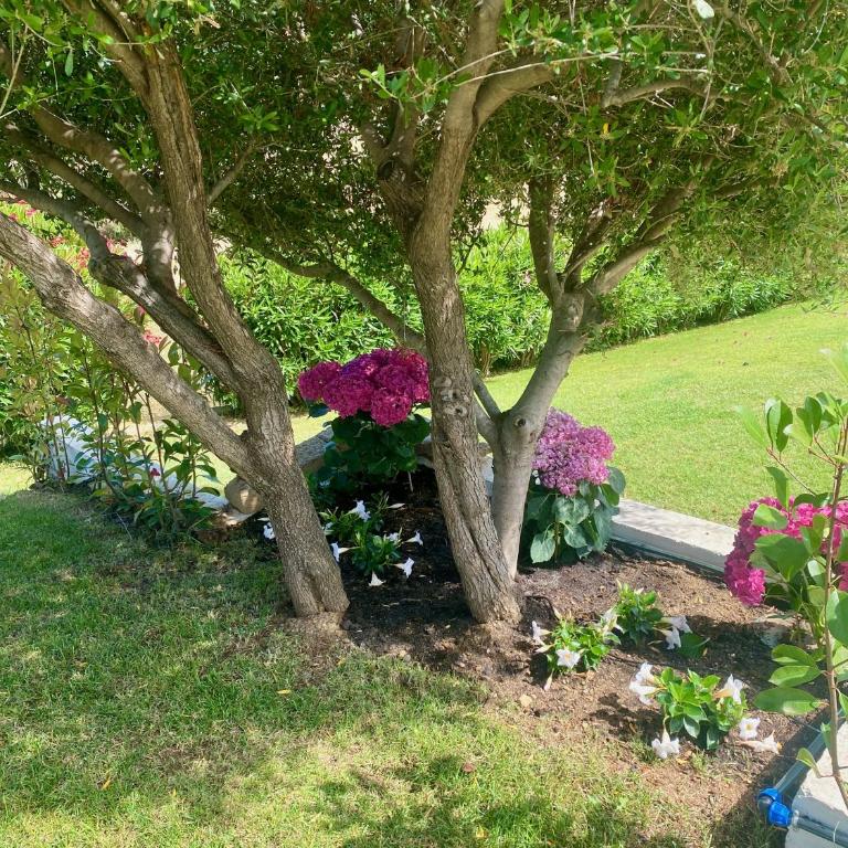 Villa Cice, con giardino - Casa con 2 Camere da Letto - 30
