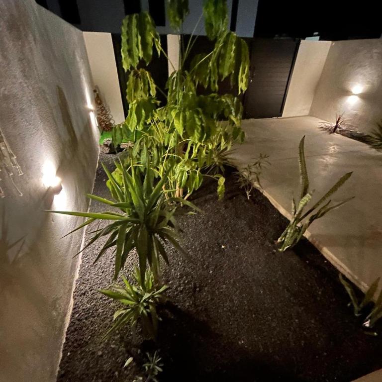 CASA DAMAR with Sea View & Heated pool - Villa de 2 dormitorios - 30
