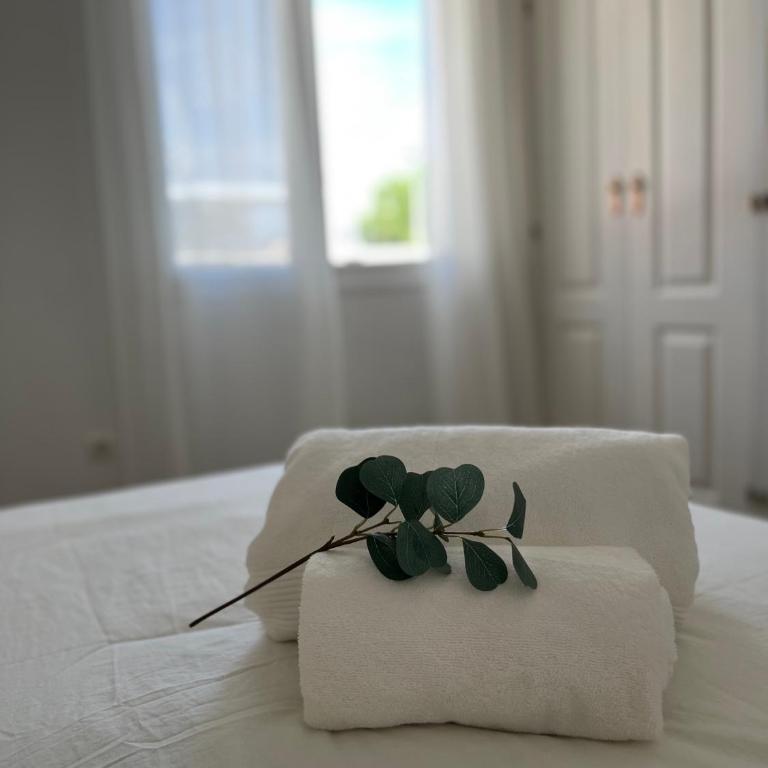 Amplio apartamento en el centro de Málaga con parking privado incluido - Apartamento de 3 dormitorios - 8