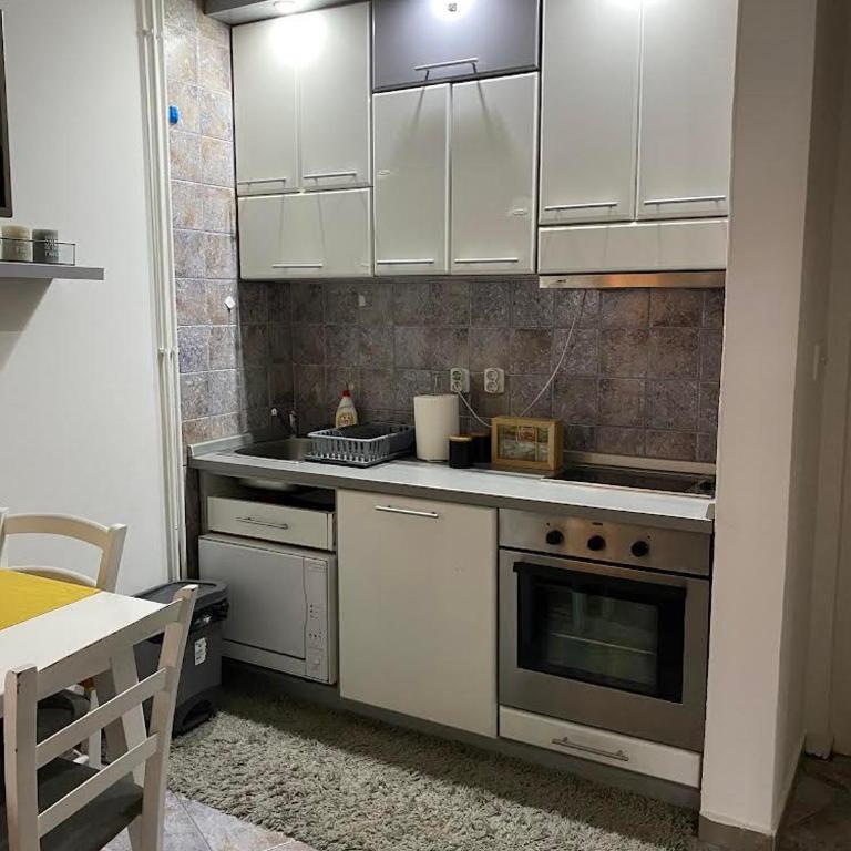 Vila Plan Apartman 101 - Apartman sa 1 Spavaćom Sobom - 3