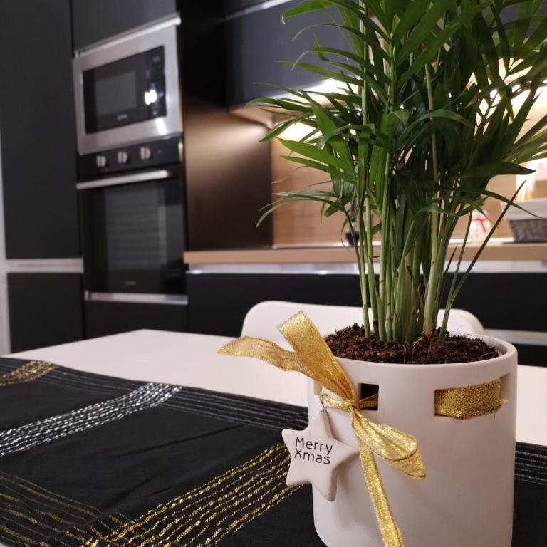 Central Loft Carina ideale per visitare il Centro di Torino - Appartamento Monolocale - 56