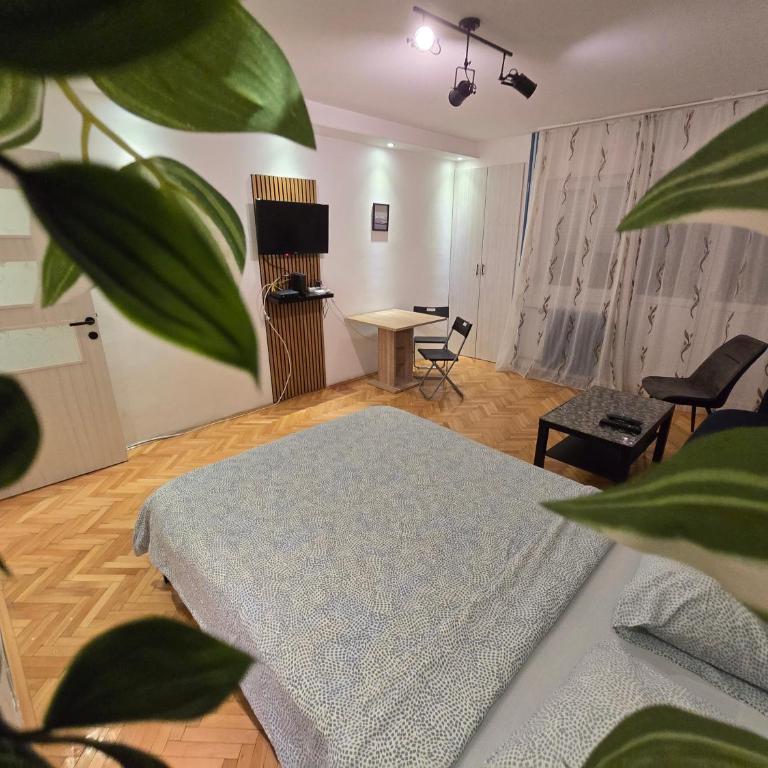 Azzurro Studio Apartment - Apartment - 1