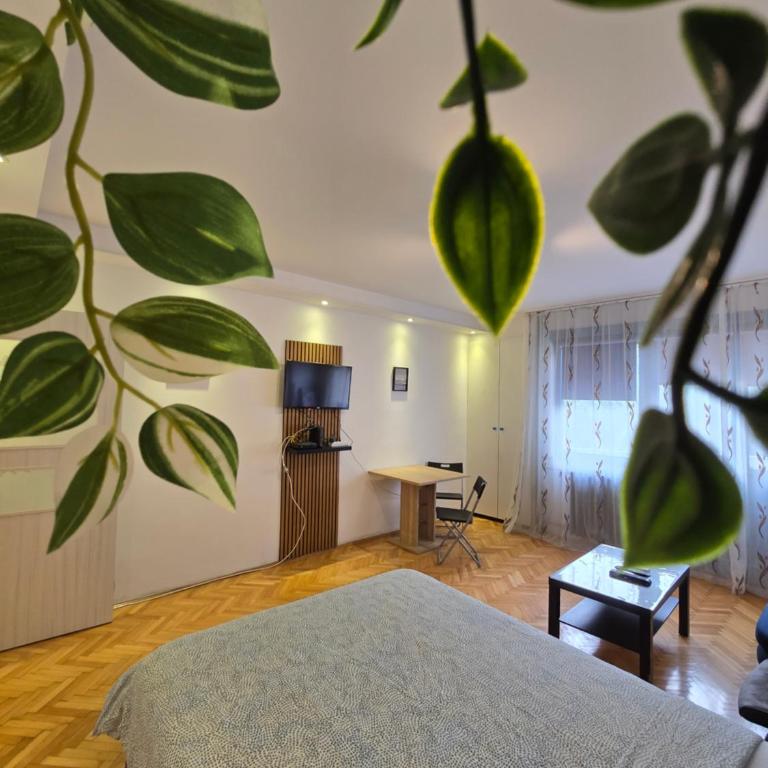 Azzurro Studio Apartment - Apartment - 26