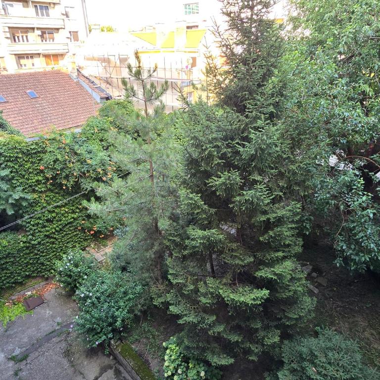 Azzurro Studio Apartment - Apartment - 29