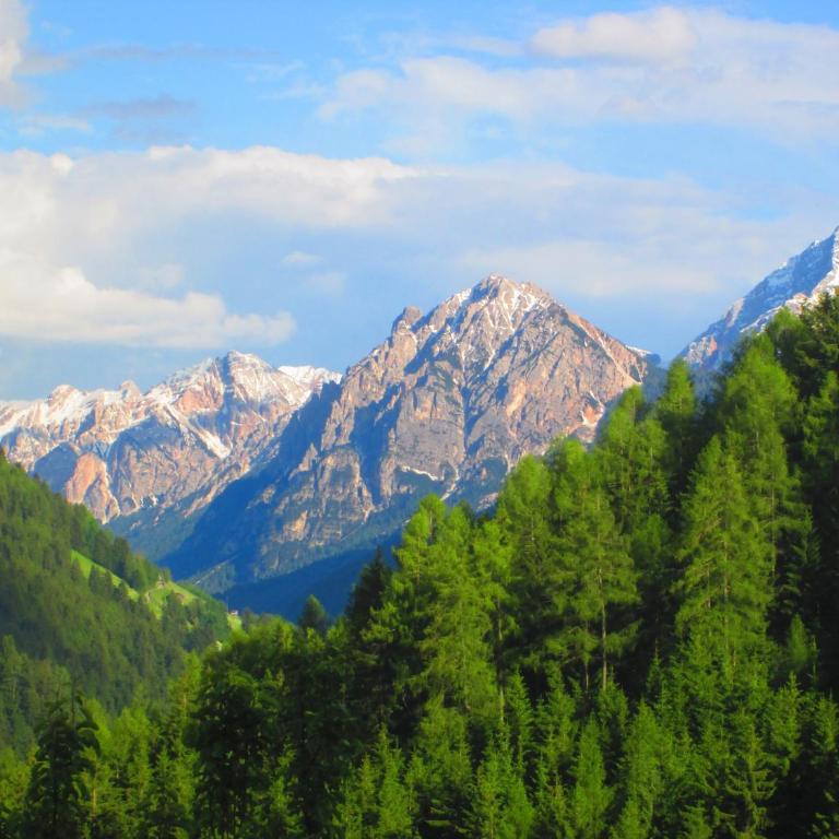 Apartment CANUS - Krumas Living - Kronplatz - Appartamento - Piano Terra - 25