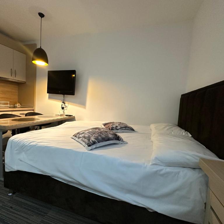 Apartments Konaci Kopaonik - Studio with Mountain View - 2