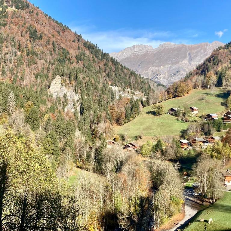 Doux Refuge - Avec Parking privé à Flumet - Studio - 14
